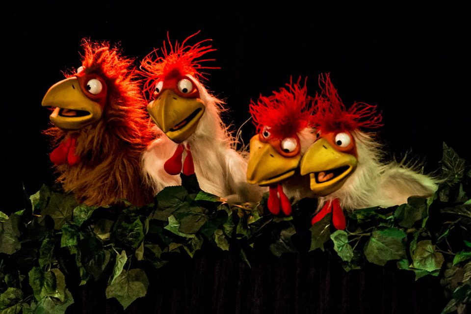 les poules de la forêt