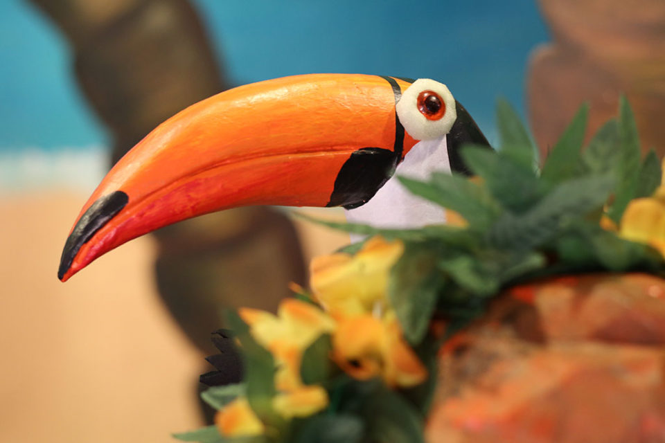le beau toucan